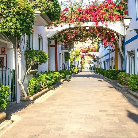 Livvo Puerto De Mogan