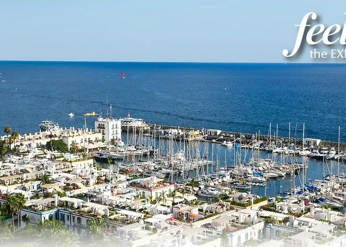 Livvo * Puerto De Mogan